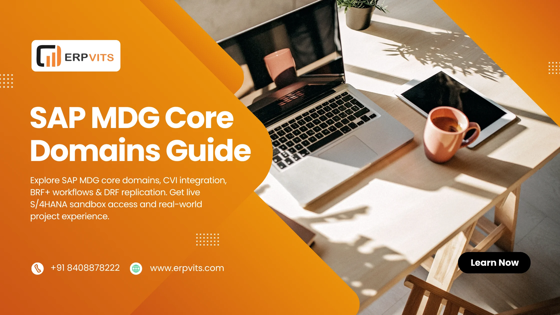 SAP Master Data Governance | Core Domains & Certification